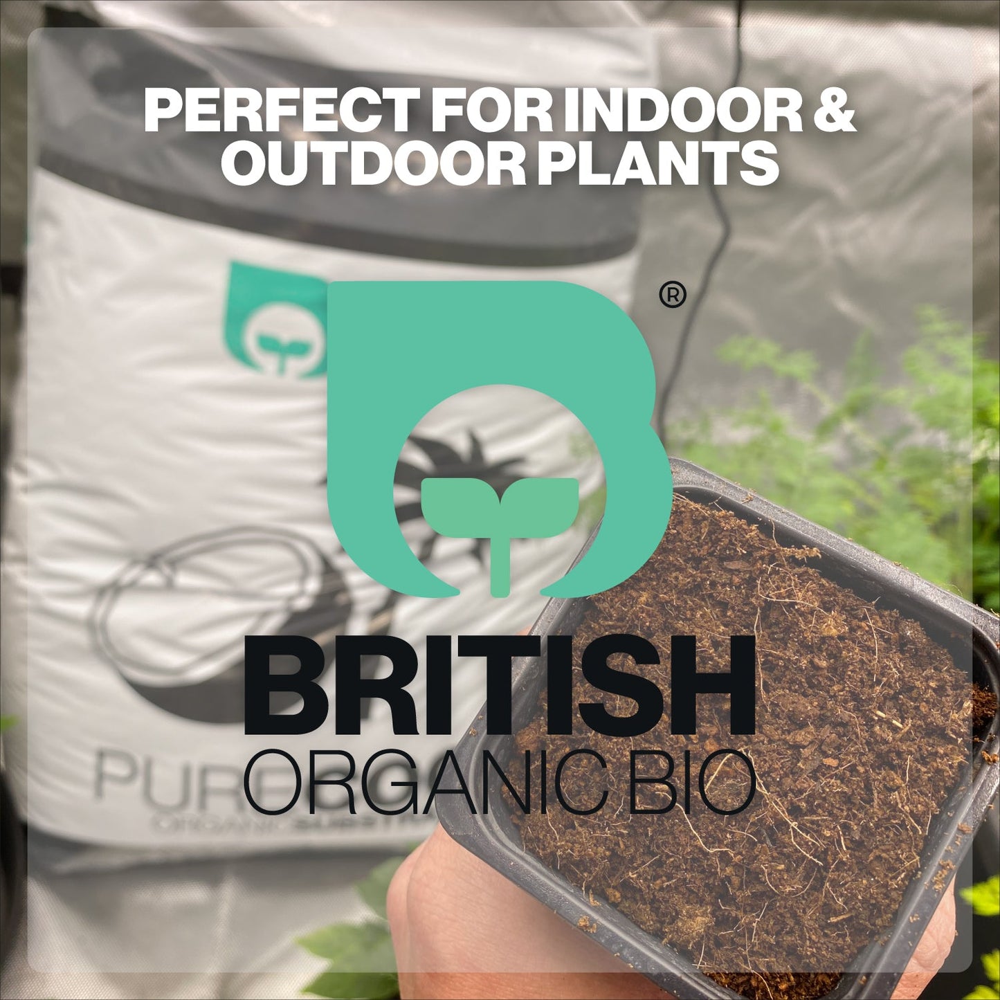 British Organic Bio Pure coco